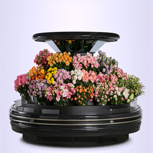 SG18YA-Arc floral display cases