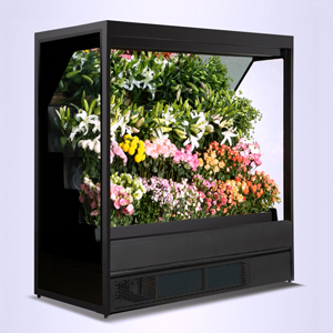 SG18YH 	floral display cases