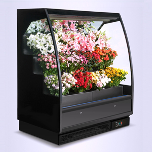 18AH-floral display cases
