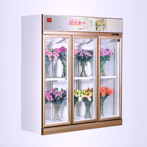 SG18ZA-3 door floral display cases