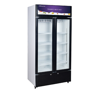 HM-LC-520 merchandiser fridge